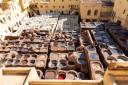 chouara-tannery-fez-morocco