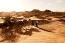 beautiful-shot-people-walking-with-their-camels-desert-erg-lihoudi-morocco (1)